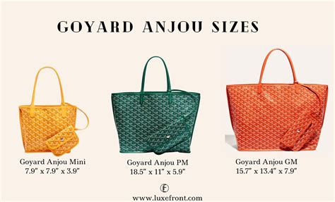 dimensions of Goyard anjou pm